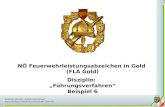 Niederösterreichischer Landesfeuerwehrverband Bezirksfeuerwehrkommando Zwettl NÖ Feuerwehrleistungsabzeichen in Gold (FLA Gold) Disziplin: Führungsverfahren.