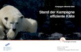 Zürich, 4. April 2013 Thomas Lang Projektleiter Kampagne effiziente Kälte Kampagne effiziente Kälte Stand der Kampagne effiziente Kälte.