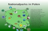 Nationalparks in Polen. 1. Babia-Gora-Nationalpark (Babiogórski Park Narodowy– 1954) ist in die Liste der Biosphären-Reservate der UNESCO eingetragen.