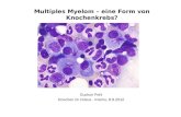 Multiples Myelom – eine Form von Knochenkrebs? Gudrun Pohl Knochen im Fokus - Krems, 8.9.2012.