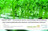 © ICLEI 2010  Philipp Tepper, ICLEI Europasekretariat SMART SPP – Innovation durch nachhaltige Beschaffung Die Lebenszykluskosten kennen und.