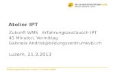 Zukunft WMS Erfahrungsaustausch IPT 45 Minuten, Vormittag  @bildungszentrumkvbl.ch Luzern, 21.3.2013 Erfahrungsaustausch, Luzern, 21.3.2013