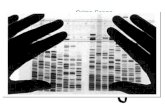 Hauptseminar Biophysik der Systeme Crime Scene DNA ?