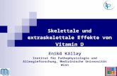 Enikő Kállay Institut für Pathophysiologie und Allergieforschung, Medizinische Universität Wien Skelettale und extraskelettale Effekte von Vitamin D.