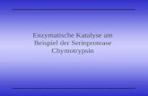 1 Enzymatische Katalyse am Beispiel der Serinprotease Chymotrypsin.