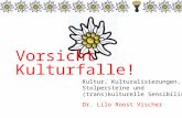 Kultur, Kulturalisierungen, Stolpersteine und (trans)kulturelle Sensibilisierung Dr. Lilo Roost Vischer Vorsicht Kulturfalle!