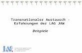 Landesarbeitsgemeinschaft der Jugendsozialarbeit in Niedersachsen Transnationaler Austausch - Erfahrungen der LAG JAW Beispiele.