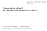 Elisabeth Pochobradsky, Claudia Nemeth Präsentationsveranstaltung 16. Oktober 2013 Prozesshandbuch Akutgeriatrie/Remobilisation.