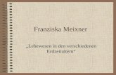 Franziska Meixner Lebewesen in den verschiedenen Erdzeitaltern.