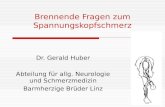 Brennende Fragen zum Spannungskopfschmerz Dr. Gerald Huber Abteilung für allg. Neurologie und Schmerzmedizin Barmherzige Brüder Linz.