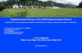 Flugplatzkommando Meiringen auf dem Militärflugplatz Meiringen-Unterbach Bilderbericht in 5 Teilen von unserem Besuch während der Axalpwoche 2013 vom Montag,