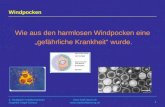 3. Stuttgarter Impfsymposium Angelika Kögel-Schauz   Windpocken Wie aus den harmlosen Windpocken eine gefährliche.