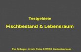Eva Schager, Armin Peter EAWAG Kastanienbaum Testgebiete Fischbestand & Lebensraum.