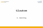 Glaukom G. Geerling. Glaukom Komponenten der Erkrankung: Erhöhter Augeninnendruck Schädigung des Sehnerven Schädigung des Gesichtsfeldes.
