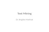Text Mining Dr. Brigitte Mathiak. Was ist Text Mining? Die Kunst aus Text etwas maschinenverwertbares zu machen Methodisch an der Schnittstelle zwischen.