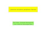 Läsionen einzelner peripherer Nerven Karl Zeiler, Christoph Baumgartner Univ.-Klinik für Neurologie Wien.
