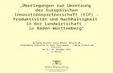 Überlegungen zur Umsetzung der Europäischen Innovationspartnerschaft (EIP) - Produktivität und Nachhaltigkeit in der Landwirtschaft - in Baden-Württemberg"