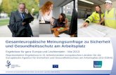 Gesamteuropäische Meinungsumfrage zu Sicherheit und Gesundheitsschutz am Arbeitsplatz Ergebnisse für ganz Europa und Liechtenstein - Mai 2013 Repräsentative.