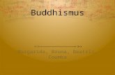 Buddhismus Margarida, Bruna, Beatriz, Coumba. Beschreibe Buddha Buddha ist kein Personenname, sondern ein Titel. Er bedeutet der,,Erleuchtete. Der persönliche.