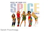 Sarah Puschnegg. Übersicht Allgemeines –Bandmitglieder Anfänge Debütalbum Diskografie Kulturelles Spiceworld- der Film Auszeichnungen The Return of the.