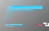 © 2011 irtual Identity AG Studie: Welche Inhalte auf Facebook funktionieren Wien/Graz, August 2012 Facebook Postings von Consumer Brands und Retail Brands.