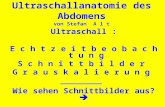 Ultraschallanatomie des Abdomens von Stefan A l t Ultraschall : E c h t z e i t b e o b a c h t u n g S c h n i t t b i l d e r G r a u s k a l i e r u.