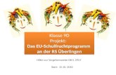 Hilfen zur Vorgehensweise DB S. 293 f Klasse 9D Projekt: Das EU-Schulfruchtprogramm an der RS Überlingen Klasse 9D Projekt: Das EU-Schulfruchtprogramm.