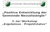 Gemeinde Nesselwängle Positive Entwicklung der Gemeinde Nesselwängle 3.-ter Workshop Ergebnisse - Projektstatus.