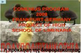 COMENIUS PROGRAM 2008 FRANKFURT-GERMANY PROJECT OF HIGH SCHOOL OF LIMENARIA.