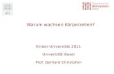 Warum wachsen Körperzellen? Kinder-Universität 2011 Universität Basel Prof. Gerhard Christofori.