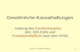 Prof. Dr. iur. Walter Fellmann1 Gewöhnliche Kausalhaftungen Haftung des Familienhauptes (Art. 333 ZGB) und Produktehaftpflicht nach dem PrHG.