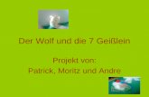 Der Wolf und die 7 Geißlein Projekt von: Patrick, Moritz und Andre.