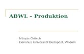 ABWL – Produktion Mátyás Gritsch Corvinus Universität Budapest, Wildom.