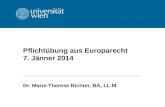 Pflicht¼bung aus Europarecht 7. J¤nner 2014 Dr. Marie-Therese Richter, BA, LL.M