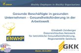 1 Elisabeth Zeisberger Österreichisches Netzwerk für betriebliche Gesundheitsförderung, Regionalstelle Salzburg Gesunde Beschäftigte in gesunden Unternehmen
