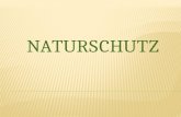 Definition des Naturschutzes Argumente für Naturschutz Arten- und Biotopschutz Naturschutzrecht Naturschutz Deutschland Beispiel Naturschutz international.
