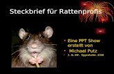 Steckbrief für Rattenprofis Eine PPT Show erstellt von Michael Putz 2. KL INF, Eggenhofer, 2008.
