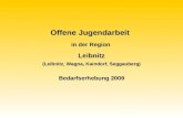 Offene Jugendarbeit in der Region Leibnitz (Leibnitz, Wagna, Kaindorf, Seggauberg) Bedarfserhebung 2009.