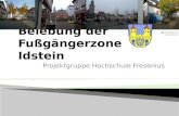 Projektgruppe Hochschule Fresenius. Problembeschreibung Meinungen/Vorstellungen der Interessensgruppen Wünsche Innenstadt Ergebnisse der Bürgerbefragung.