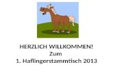 HERZLICH WILLKOMMEN! Zum 1. Haflingerstammtisch 2013.