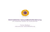 Betriebliche Gesundheitsförderung ein modulares System für Unternehmen Florian Meißner vital.services, Geschäftsführung