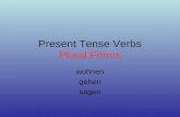 Present Tense Verbs Plural Forms wohnen gehen sagen.