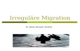 Irreguläre Migration Dr. Bahar Akcayer Schütte. Gliederung 1. Einleitung 2. Push- und pull-Faktoren 3. Irreguläre Migration in Zahlen 4. Wer ist Irregulär?
