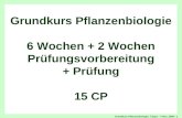 Grundkurs Pflanzenbiologie, 7.Sept. - 7.Nov. 2009 - 1 Titel "Grundkurs Pflanzenbiologie" Grundkurs Pflanzenbiologie 6 Wochen + 2 Wochen Prüfungsvorbereitung.
