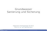 Kassel, den 06.08.2013 Grundwasser Sanierung und Sicherung Allgemeine Hydrogeologie SS 2013 Prof. Dr. rer. nat. Manfred Koch Thorben Riehm, Yasmin Yazdi.