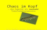 Chaos im Kopf – die Pubertät als neuronaler Transformationsprozess Prof. Dr. Thomas Mohrs / HVD Bayern / Philosophisches Frühstück 11.12.2011.