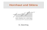Hornhaut und Sklera G. Geerling. Besonderheiten Transparenz: Avaskuläres Stroma, endotheliale Pumpe, regelmäßiges Epithel und Tränenfilm, regelmässige.