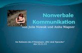 Von Julia Nowak und Anita Wagner Im Rahmen des P-Seminars Wir sind Sprache Am 19.11.13.
