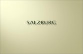 SALZBURG. Lage in Österreich Satellitenbild Liechtensteinklamm.