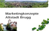 Marketingkonzepte Altstadt Brugg. Marketing-Konzepte Altstadt Brugg Wer wir sind: Klasse 3aW - Diplommittelschule - der Kantonsschule Baden: 16 Schülerinnen.